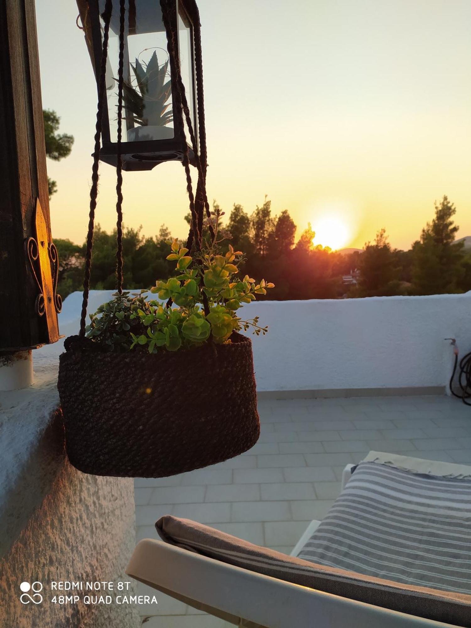 Appartamento Ta Pefka Nikiti  Esterno foto