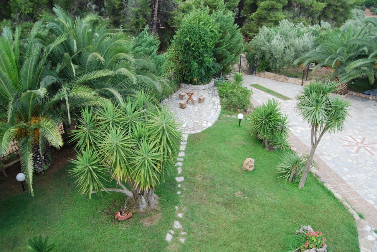 Appartamento Ta Pefka Nikiti  Esterno foto